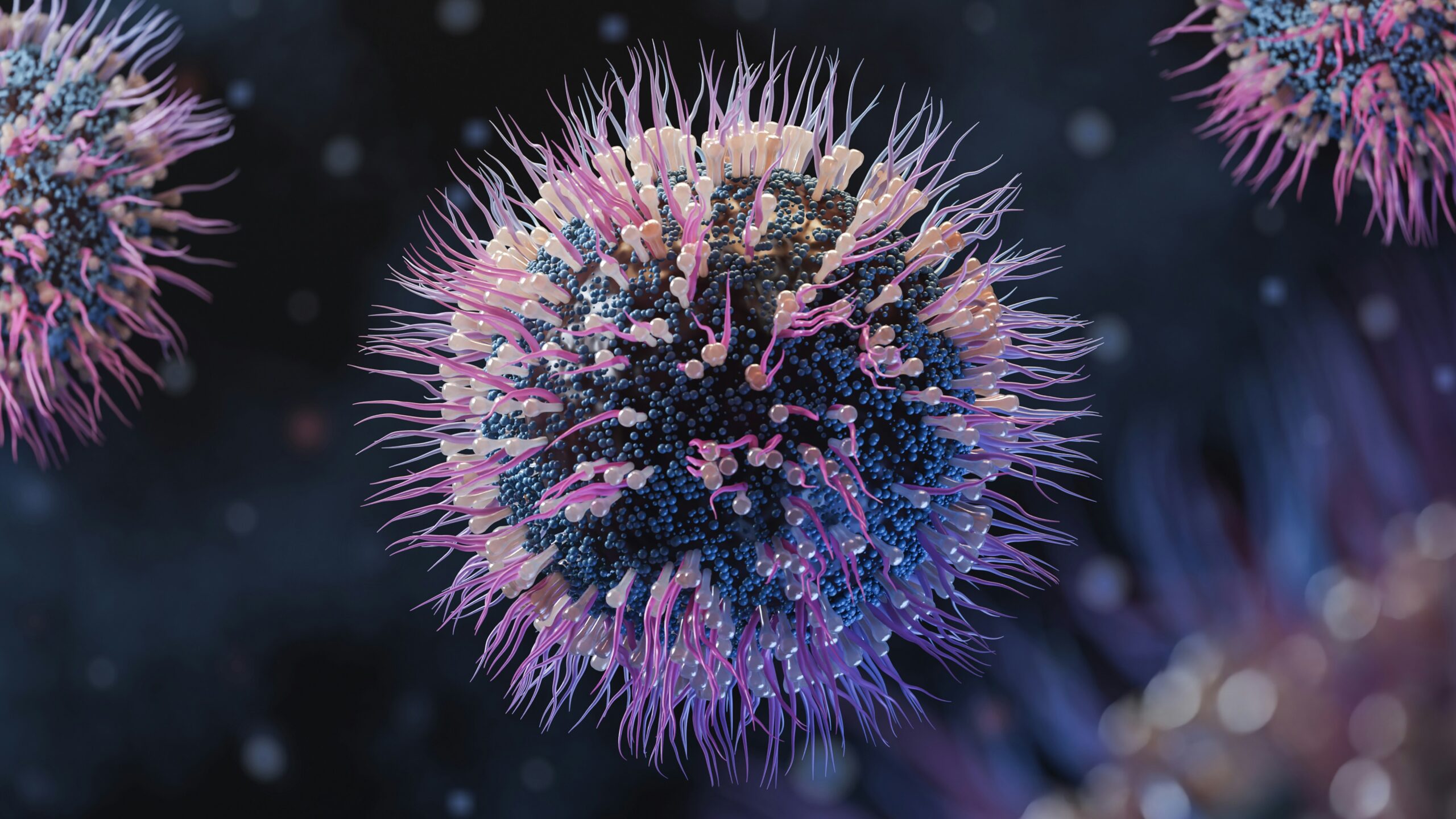 Bacteria image